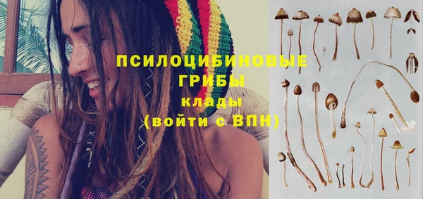 дурь Аркадак
