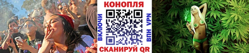 Марихуана сатива  Сибай 